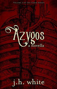 Produktbild: Azygos
