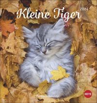 Katzen - Kleine Tiger Postkartenkalender 2024. Entzückende Katzenkinder in einem kleinen Kalender zum Aufhängen oder Aufstellen. Tierischer Postkart von |Heye