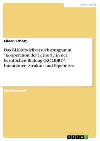 Produktbild: Das BLK-Modellversuchsprogramm "Kooperation der Lernorte in der beruflichen Bildung (KOLIBRI)": Intentionen, Struktur und Ergebnisse