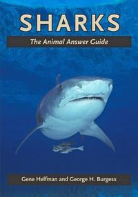 Produktbild: Sharks