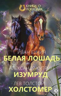 Produktbild: White horse Emerald Holstomer