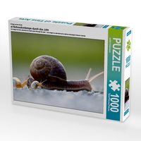 Produktbild: CALVENDO Puzzle Ein Motiv aus dem Kalender at Schneckentempo durch das Jahr | 1000 Teile Lege-Gr&ouml;&szlig;e 64x48cm Foto-Puzzle f&uuml;r gl&uuml;ckliche Stunden