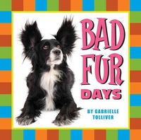 Produktbild: Bad Fur Days