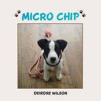 Produktbild: Micro Chip