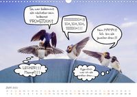 Wenn Schwalben reden (Wandkalender 2023 DIN A3 quer)