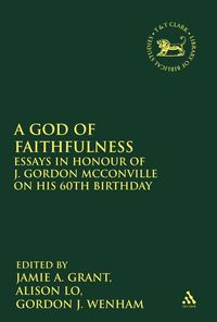 Produktbild: A God of Faithfulness
