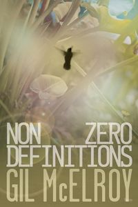 Produktbild: Nonzero Definitions