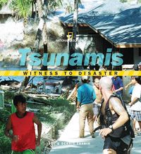 Produktbild: Witness To Disaster Witness To