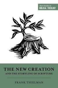 Produktbild: The New Creation and the Storyline of Scripture