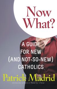 Produktbild: Now What?