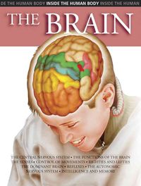 Produktbild: The Brain