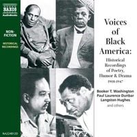 Produktbild: Voices of Black America