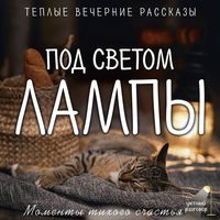 Produktbild: Pod svetom lampy: momenty tihogo schastya. Teplye vechernie rasskazy