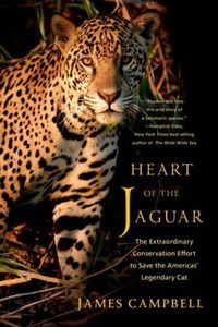 Produktbild: Heart of the Jaguar