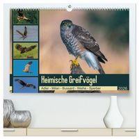 Produktbild: Heimische GREIFV&Ouml;GEL Adler Milan Bussard Weihe Sperber (hochwertiger Premium Wandkalender 2026 DIN A2 quer), Kunstdruck in Hochglanz