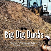 Produktbild: Big Dig Ducks