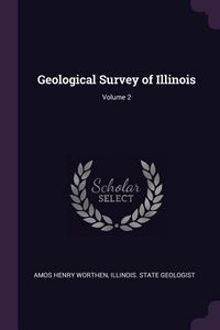 Produktbild: Geological Survey of Illinois; Volume 2