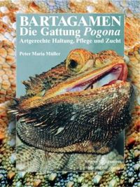 Bild vom Artikel Bartagamen - Die Gattung Pogona vom Autor Peter Maria Müller
