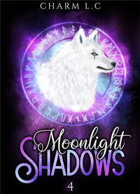 Produktbild: Moonlight shadows tome 4