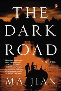 Produktbild: The Dark Road