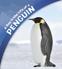 Produktbild: Day in the Life of a Penguin