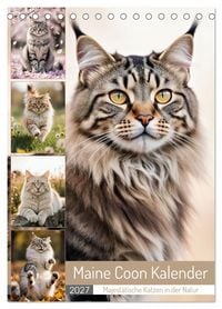 Produktbild: Maine Coon Kalender - Majest&auml;tische Katzen in der Natur (Tischkalender 2027 DIN A5 hoch), CALVENDO Monatskalender
