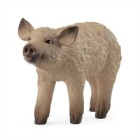 Produktbild: Wollschwein Ferkel