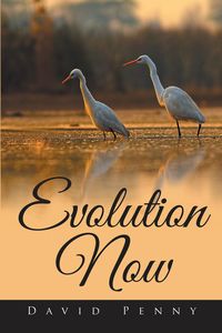 Produktbild: Evolution Now