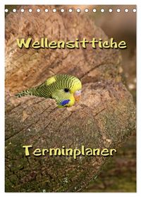 Produktbild: Wellensittiche Terminplaner (Tischkalender 2026 DIN A5 hoch), CALVENDO Monatskalender