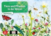 Produktbild: Tiere und Pflanzen in der Wiese. Kamishibai Bildkartenset