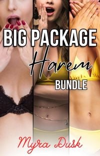 Produktbild: Big Package Harem Bundle