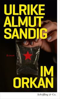 Produktbild: Im Orkan