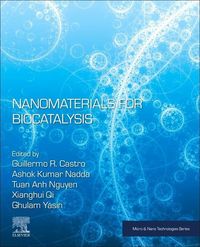 Produktbild: Nanomaterials for Biocatalysis
