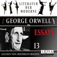 Produktbild: Essays 13