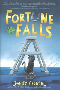 Produktbild: Fortune Falls