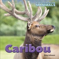Produktbild: Caribou