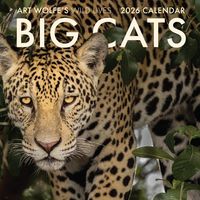 Produktbild: 2026 Big Cats Wall Calendar