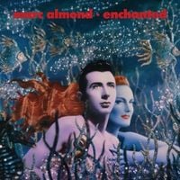 Produktbild: Enchanted(Expanded Midnight Blue 2LP)