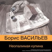 Produktbild: Neopalimaya kupina