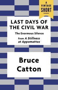 Produktbild: Last Days of the Civil War