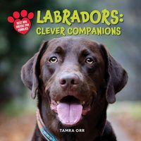 Produktbild: Labrador Retrievers: Clever Companions