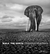 Produktbild: Walk the Earth