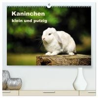 Produktbild: Kaninchen klein und putzig (hochwertiger Premium Wandkalender 2027 DIN A2 quer), Kunstdruck in Hochglanz