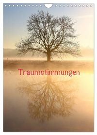 Produktbild: Traumstimmungen (Wandkalender 2026 DIN A4 hoch), CALVENDO Monatskalender
