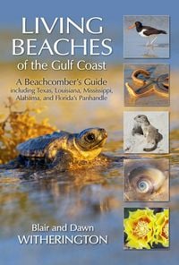 Produktbild: Living Beaches of the Gulf Coast
