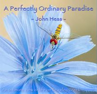 Produktbild: A Perfectly Ordinary Paradise: An Intimate View of Life on Brawley Creek