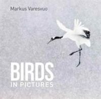Produktbild: Varesvuo, M: Birds in Pictures
