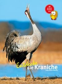Produktbild: Entdecke die Kraniche