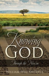 Produktbild: Knowing God