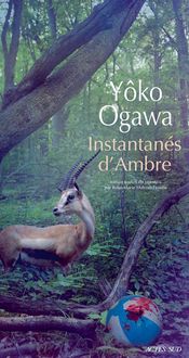 Produktbild: Instantanes ambre